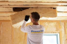 Best Eco-Friendly or Green Insulation Solutions  in Speer, NC